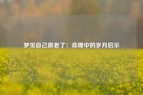 梦见自己很老了：命理中的岁月启示
