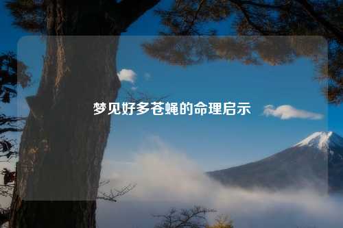 梦见好多苍蝇的命理启示