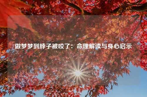 做梦梦到脖子被咬了：命理解读与身心启示