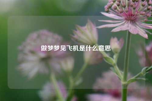 做梦梦见飞机是什么意思