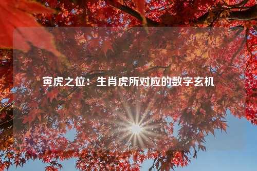 寅虎之位：生肖虎所对应的数字玄机