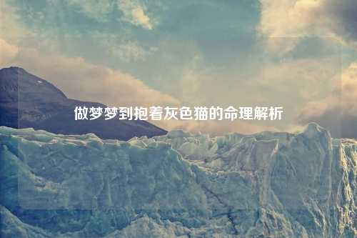 做梦梦到抱着灰色猫的命理解析